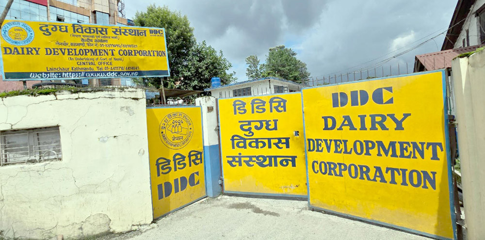 ‘डिडिसी’बाट सित्तैमा दूध–घिउ खाने व्यवस्था तत्काल रोक्न कृषिमन्त्रीको निर्देशन