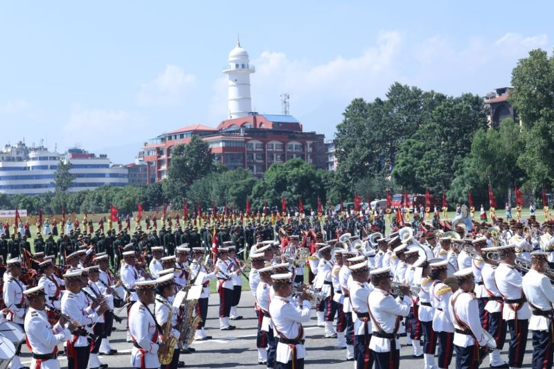 sambi10.jpg