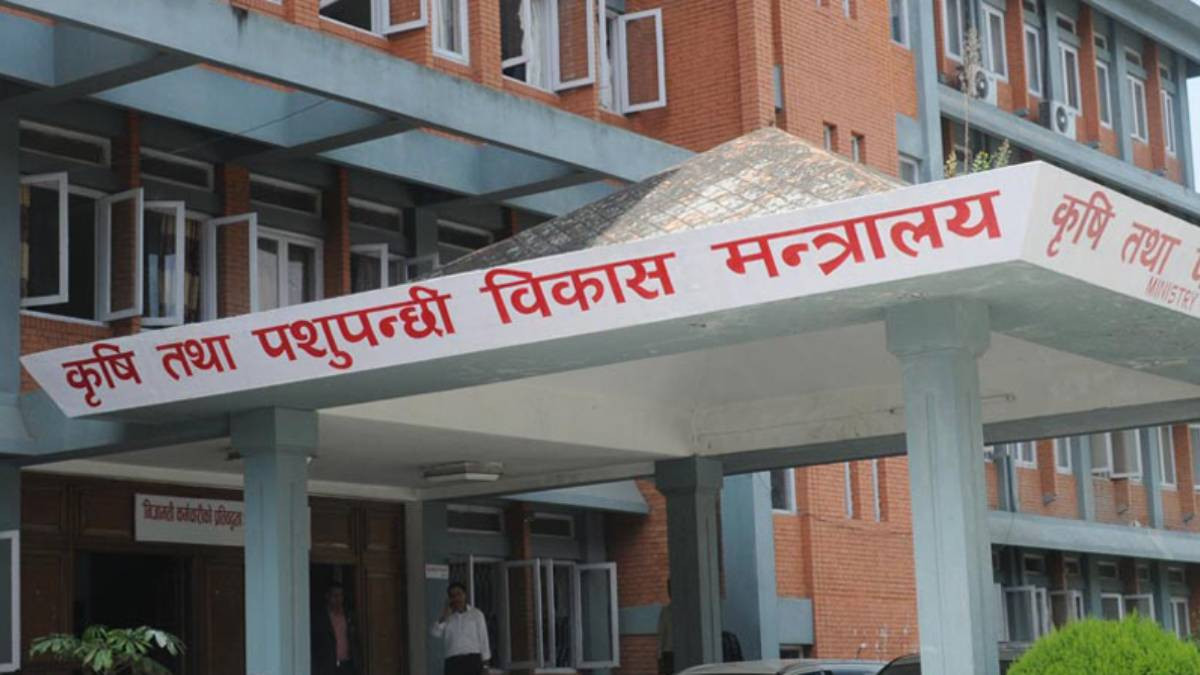 उखु किसान र सरकारबीच सिहंदरवारमा वार्ता,उखु किसानको अनुदान रकम पर्सिसम्म खातामा