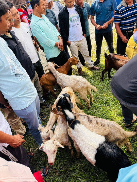 lamjung4.jpg
