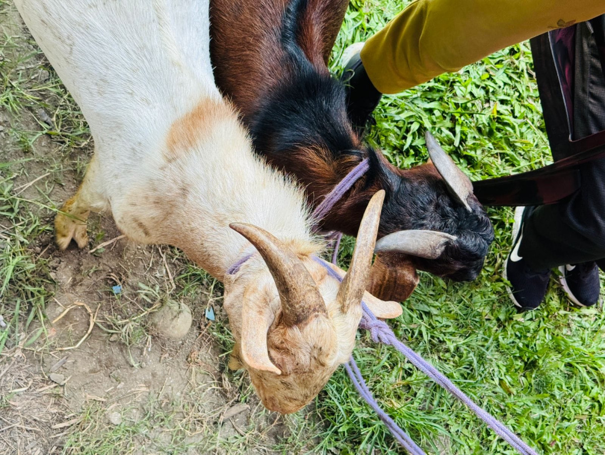 lamjung2.jpg