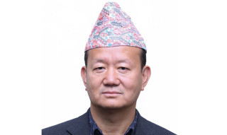 मन्त्रिका सल्लाहकार प्रतिनिधि सभाको सचिवमा सिफारिस