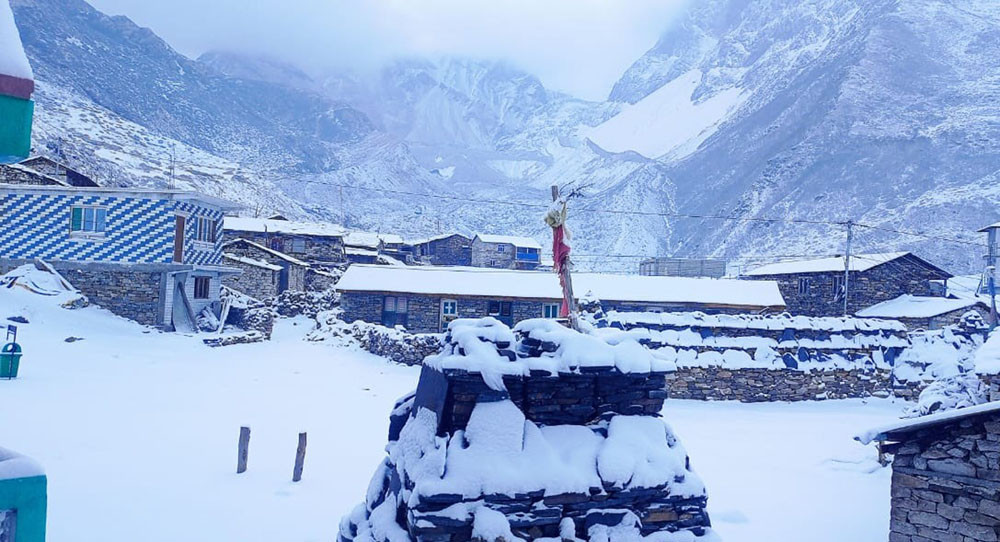 उत्तरी गोरखाको नुब्री भ्यालीमा हिमपात, स्थानीयवासीमा खुसीयाली