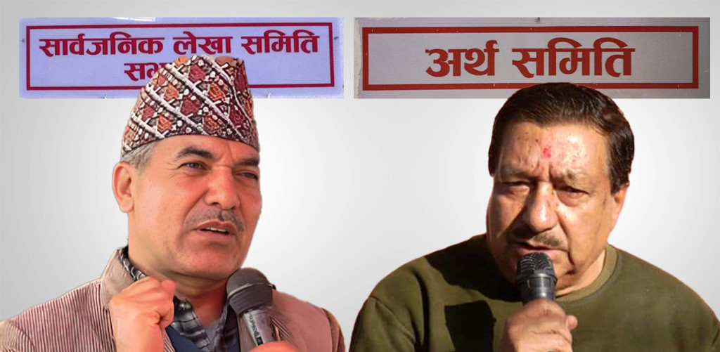 ९० रुपैयाँभन्दा कम नेटवर्थ भएकालाई आईपीओ निषेध : आईपीओ रोक्ने लेखा समितिको निर्णयविरुद्ध अर्थ समितिको कडा आपत्ति