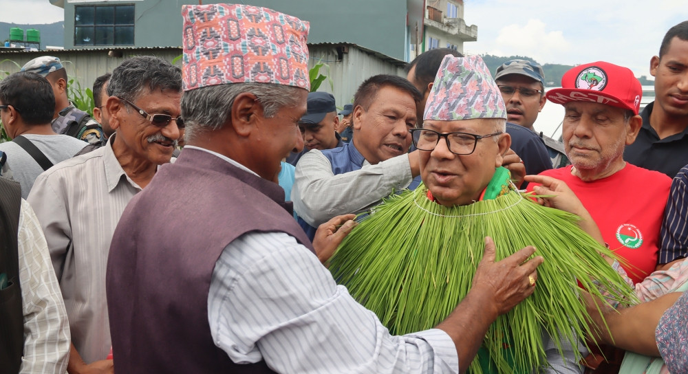 Dhan 1.jpg