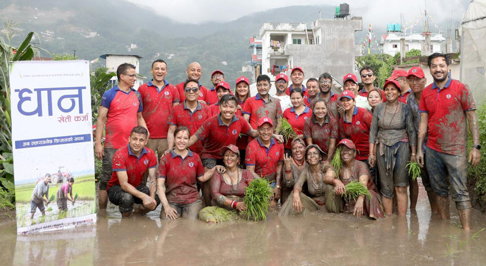 धान दिवसको अवसरमा ग्लोबल आइएमई बैंकले सार्वजनिक गर्याे, “धान खेती कर्जा”