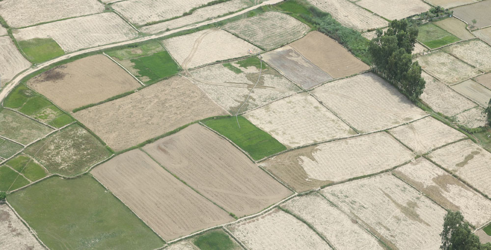 tarai sukka .jpg