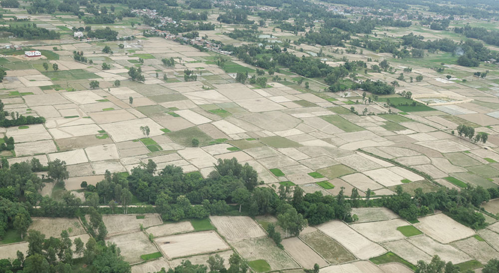 tarai sukka2.jpg