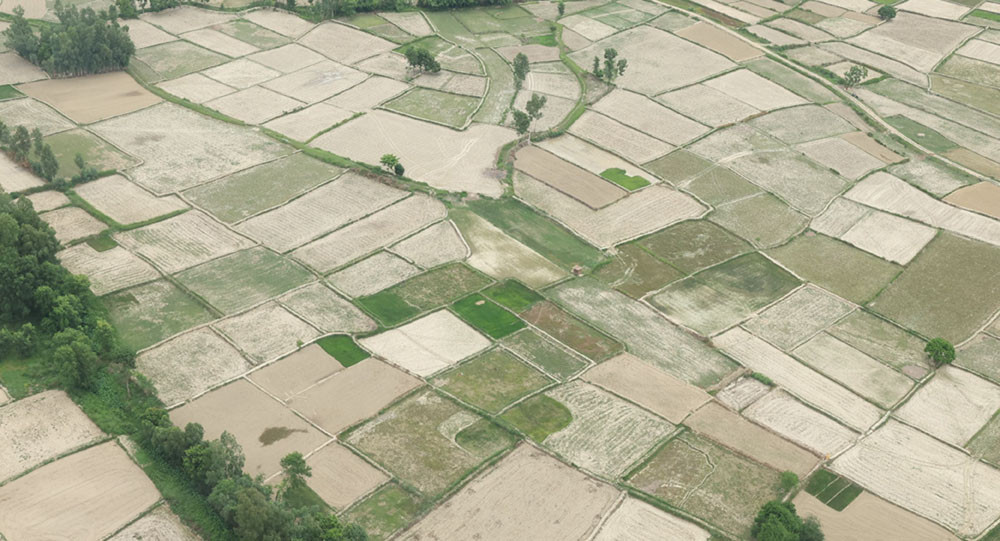 tarai sukka1.jpg