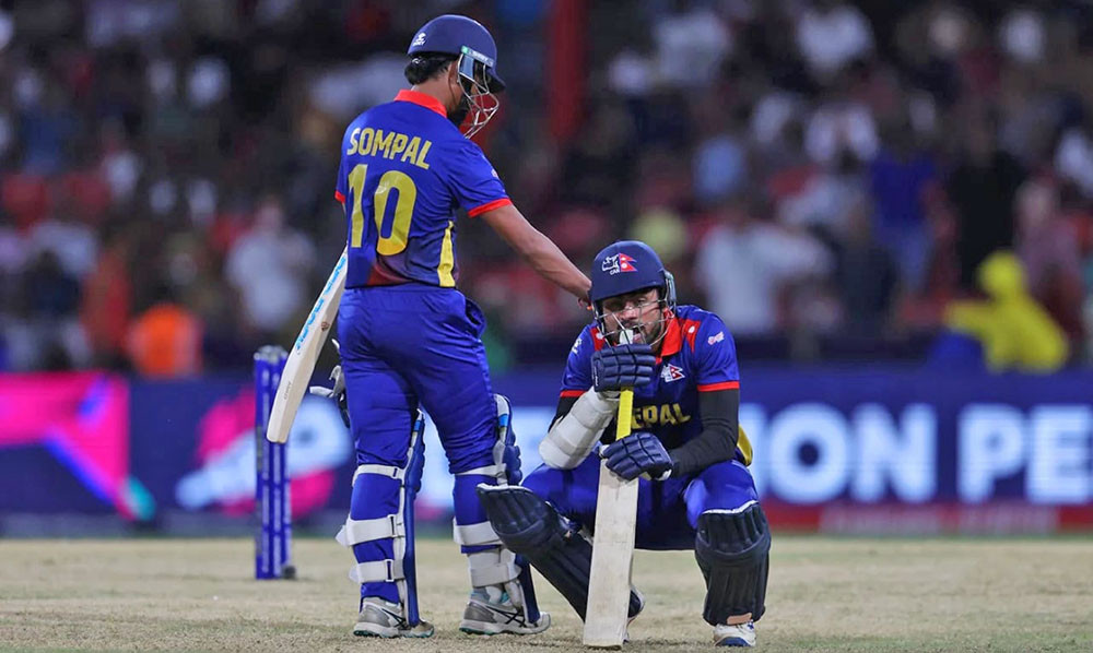 cricket sad moment.jpeg