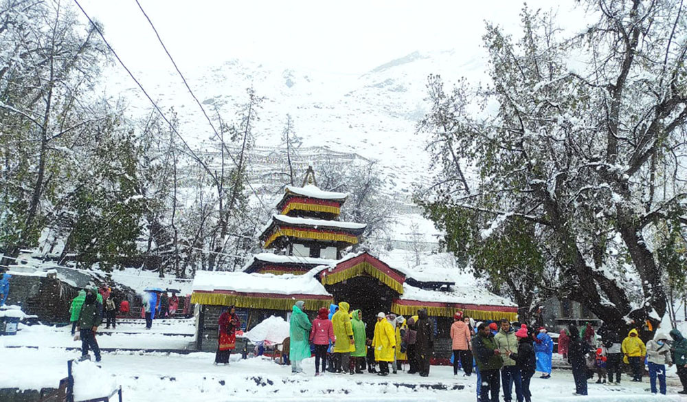 बर्खा लाग्यो, तर हिउँ पर्न छाडेनः बेमौसमी हिमपातले कृषि र पर्यटन क्षेत्रमा असर