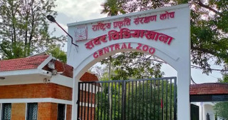 बर्ड फ्लु संक्रमण देखिएपछि सदर चिडियाखाना अनिश्चितकालका लागि बन्द