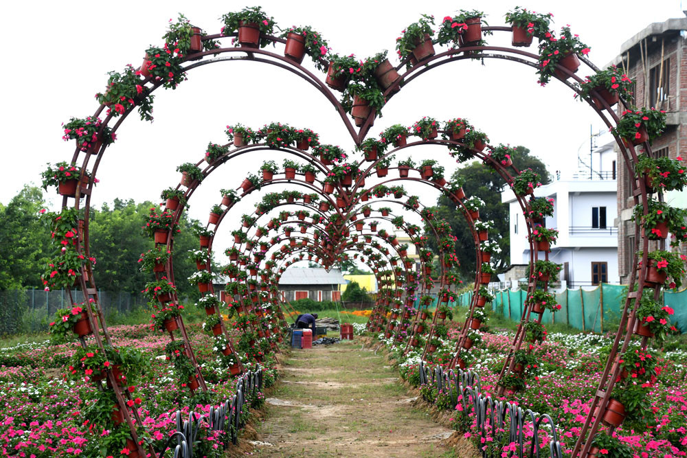 flower3.jpg
