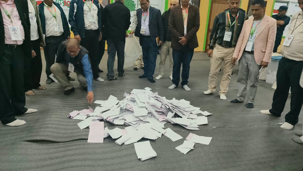 congress voting1.jpeg