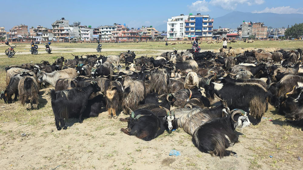 chyangra2.jpg
